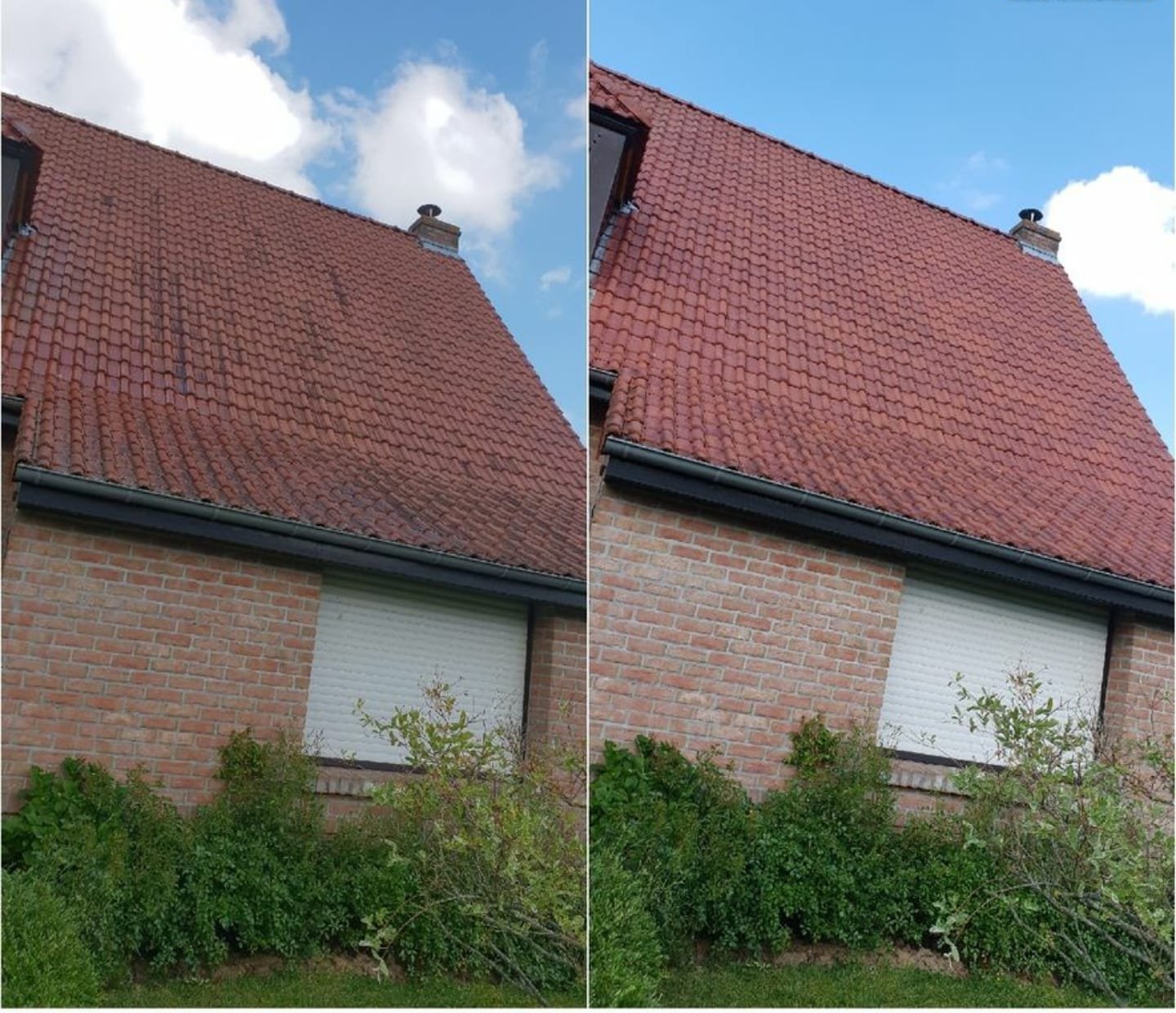 Netoyage de toiture - Photo 7